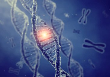 Regenerative Medicine Services