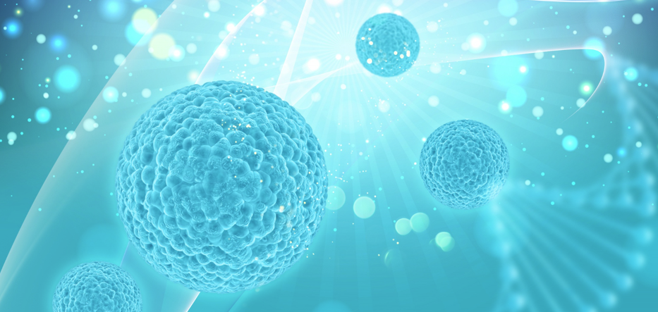what are stem cells